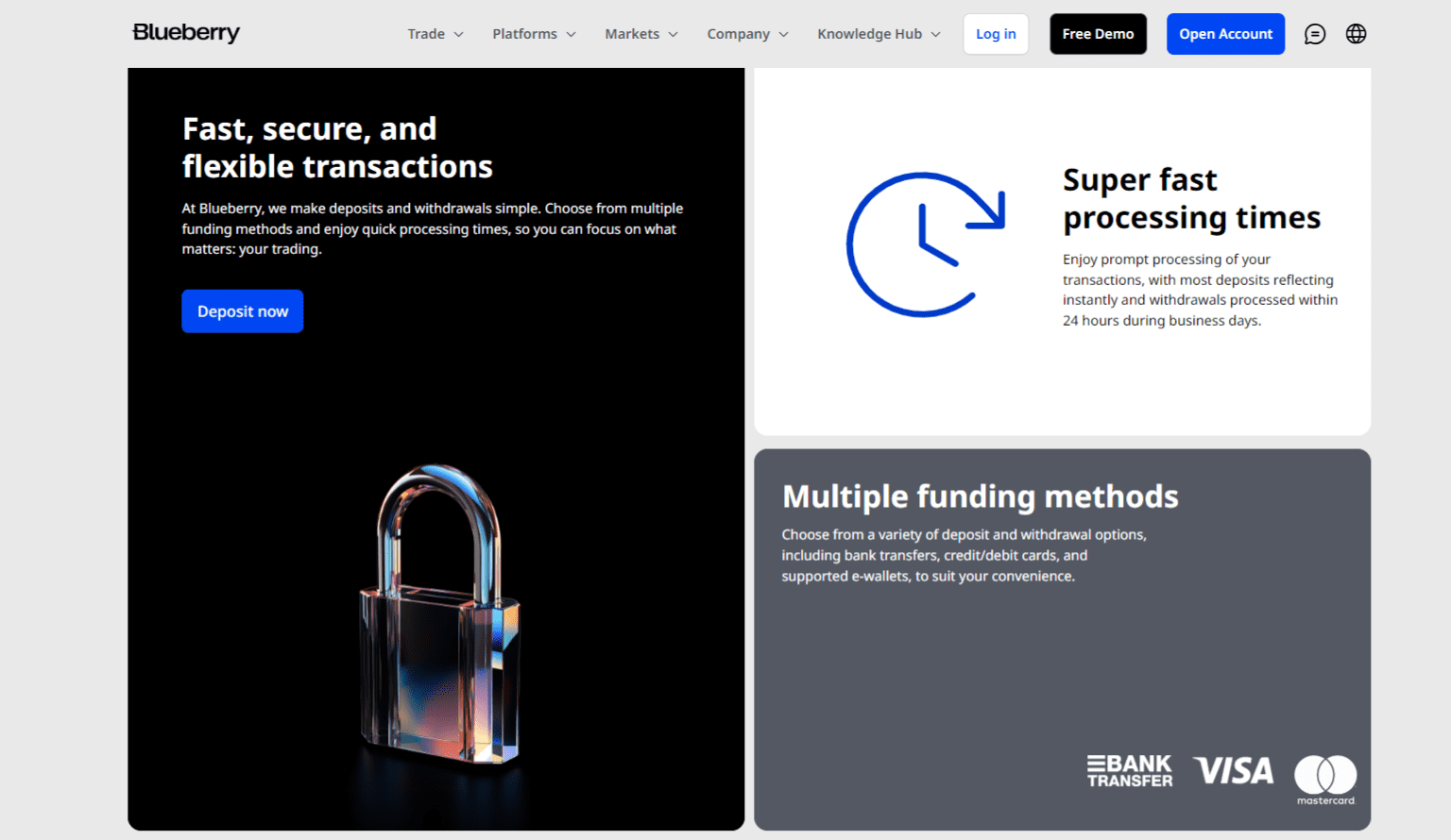 Blueberry Markets Deposits Withdrawals